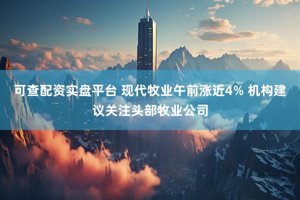 可查配资实盘平台 现代牧业午前涨近4% 机构建议关注头部牧业公司