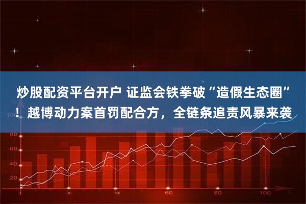 炒股配资平台开户 证监会铁拳破“造假生态圈”!越博动力案首罚配合方,全链条追责风暴来袭